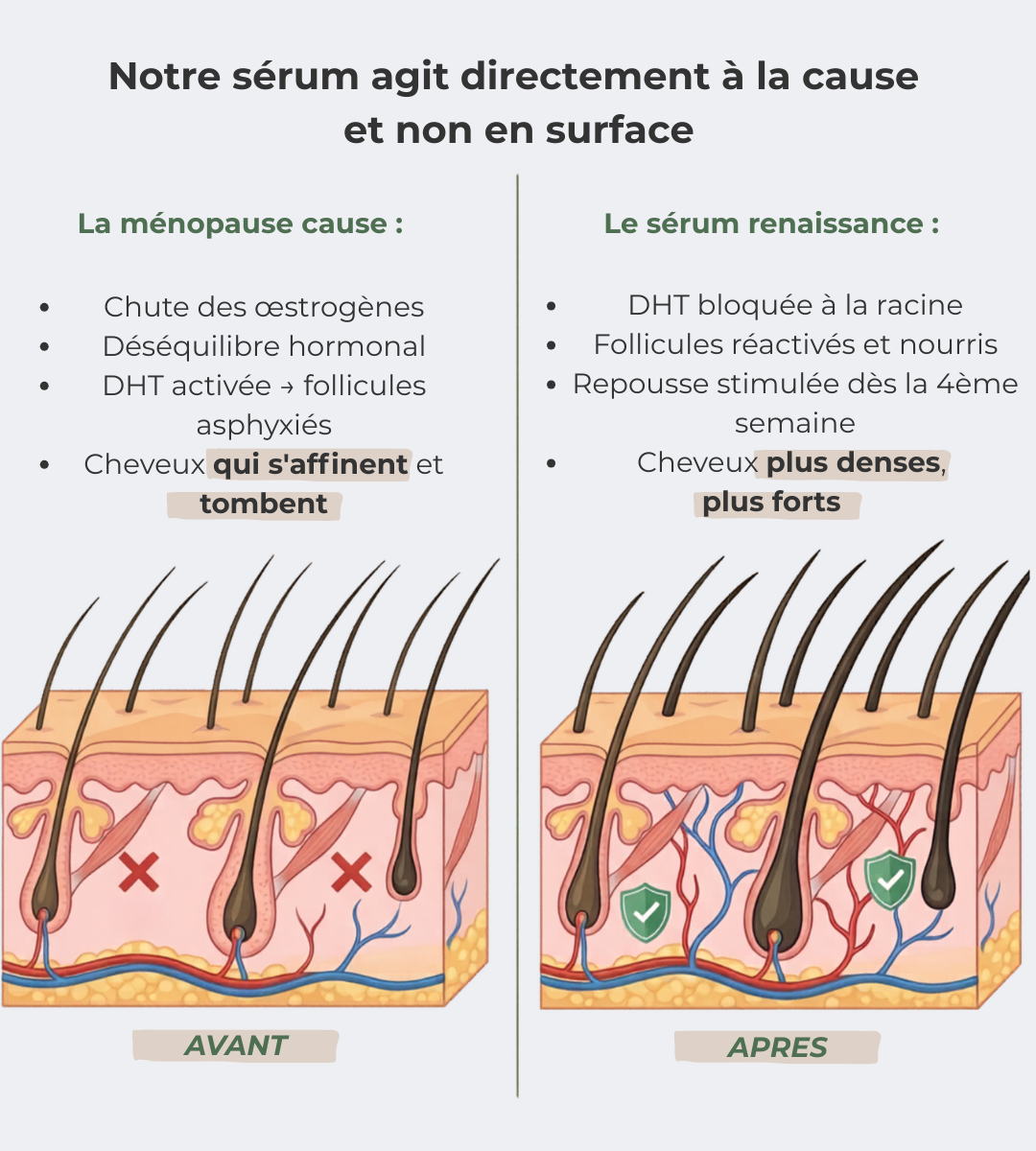 Sérum Renaissance, votre allié contre la chute hormonale
